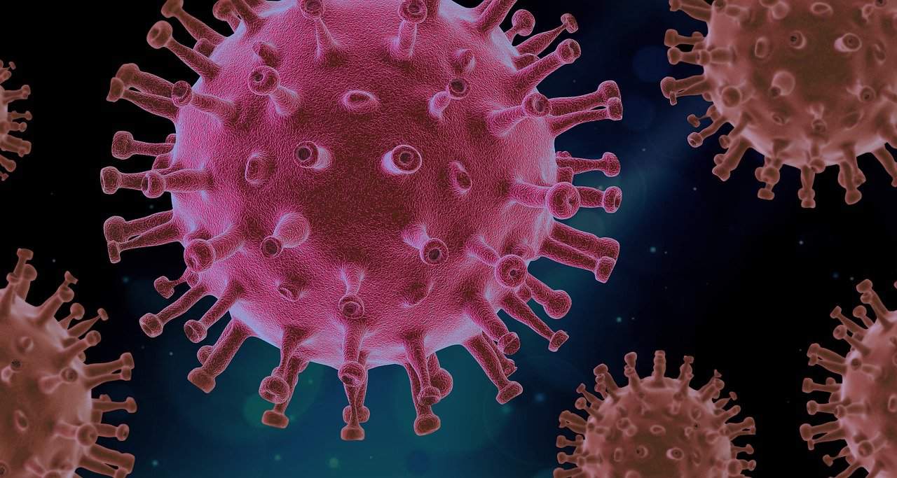 Wirusy – co o nich wiemy?