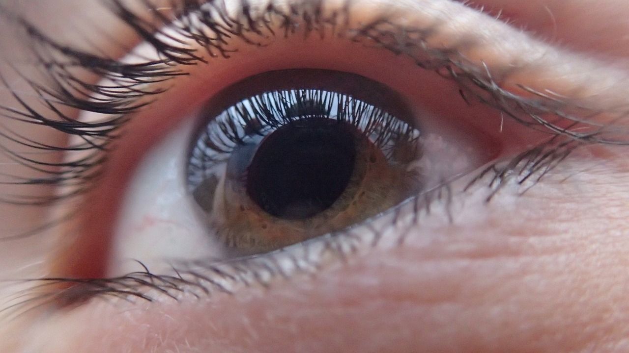 Czym różnią się od siebie wady wzroku?
