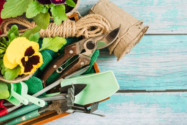 Jak wybrać odpowiednie narzędzia ogrodowe do pielęgnacji roślin iglastych?